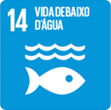 Vida debaixo d'água Vida debaixo d'água